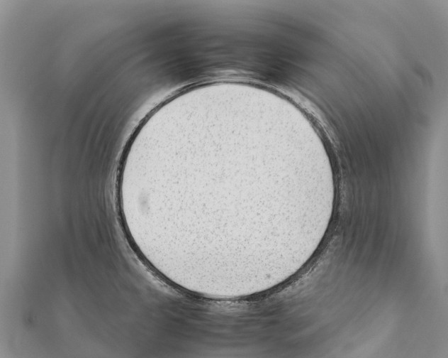 X0000111391333200908211353