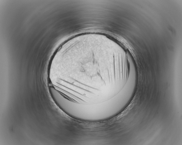 X0000111391334200908211353
