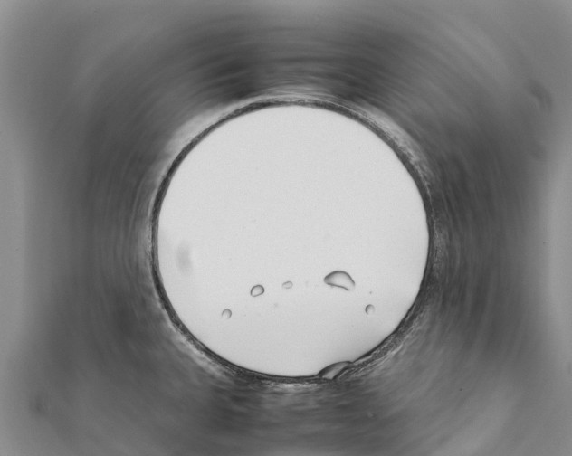 X0000111391335200908211353