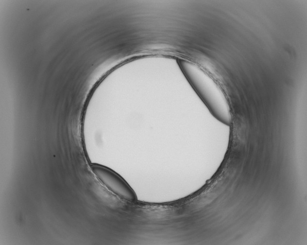 X0000111391336200908211353
