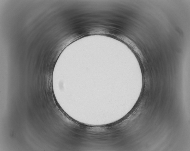X0000111391337200908211353
