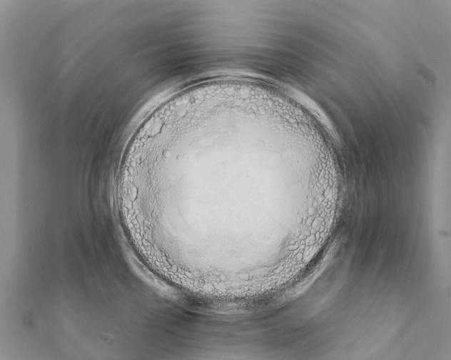 X0000111391338200908211353