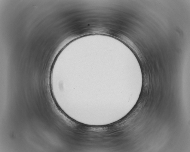 X0000111391339200908211353