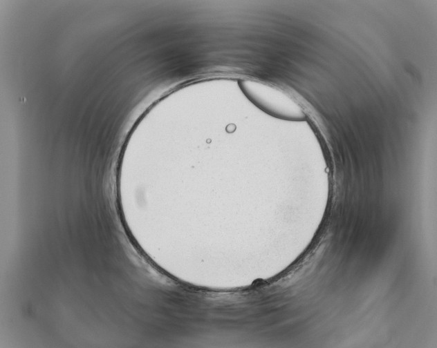 X0000111391341200908211353