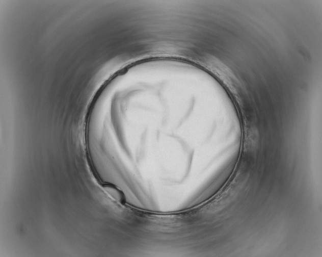 X0000111391342200908211353