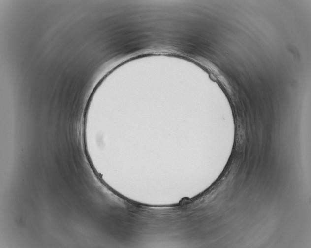 X0000111391343200908211353