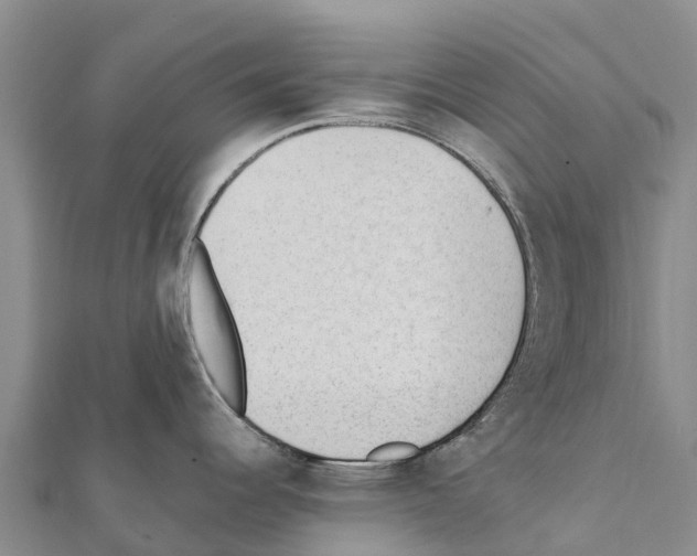 X0000111391344200908211353