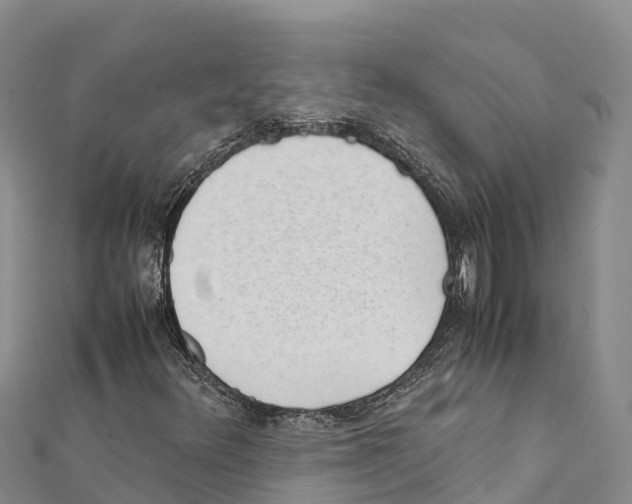 X0000111391348200908211353