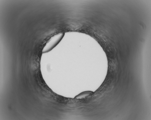 X0000111391349200908211353