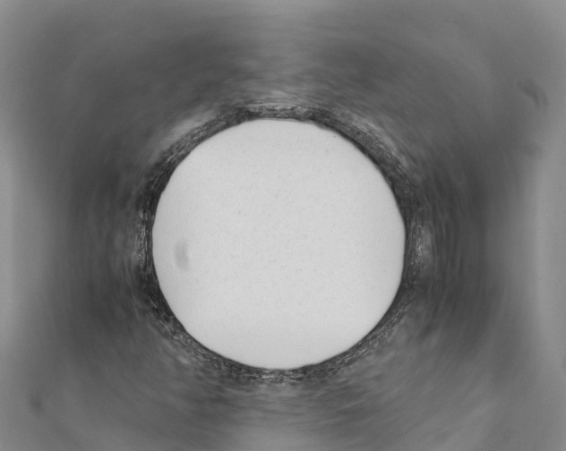 X0000111391350200908211353