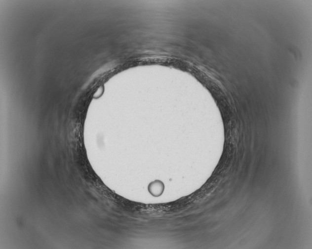 X0000111391351200908211353