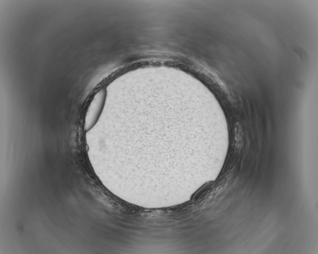 X0000111391352200908211353