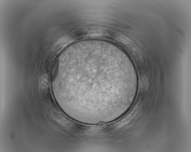 X0000111391353200908211353