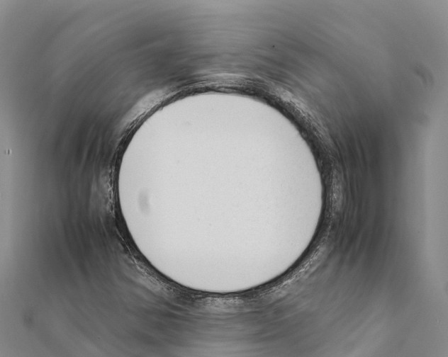 X0000111391354200908211353