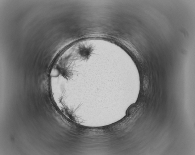 X0000111391356200908211353
