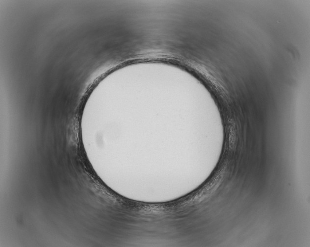 X0000111391358200908211352