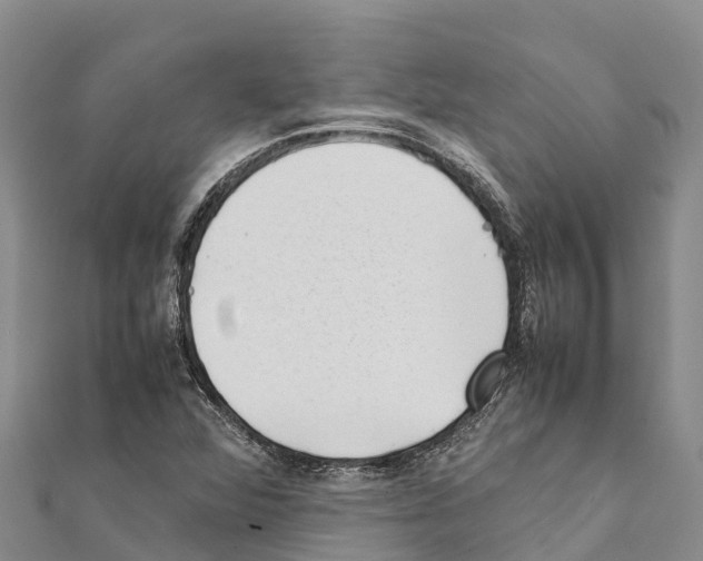 X0000111391360200908211352