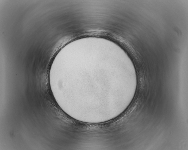 X0000111391362200908211352