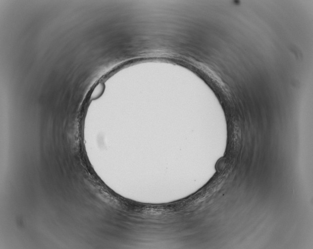 X0000111391364200908211352