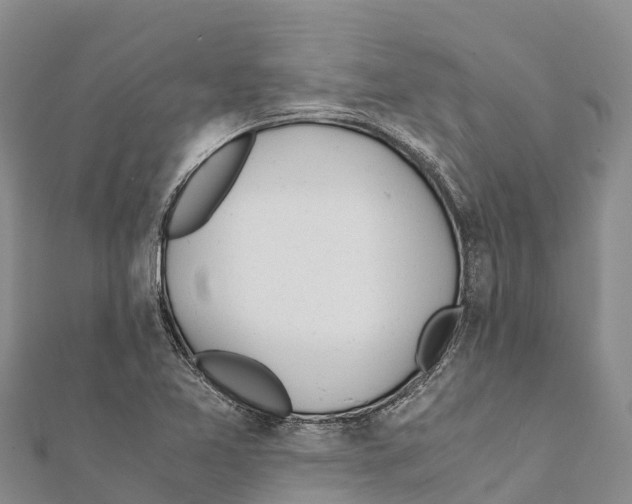 X0000111391365200908211352