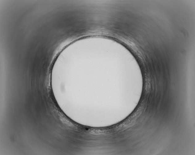 X0000111391366200908211352