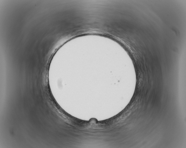 X0000111391367200908211352