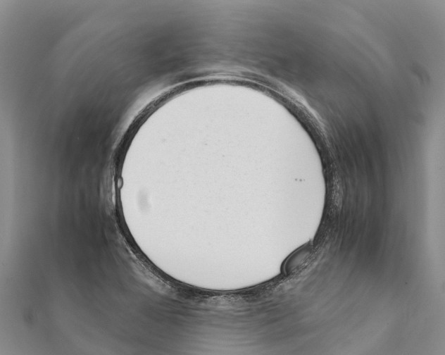 X0000111391368200908211352