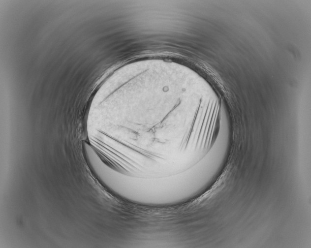 X0000111391369200908211352