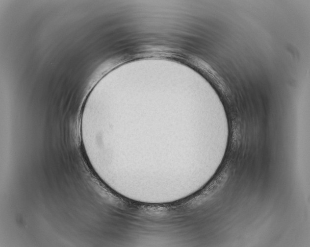 X0000111391370200908211352