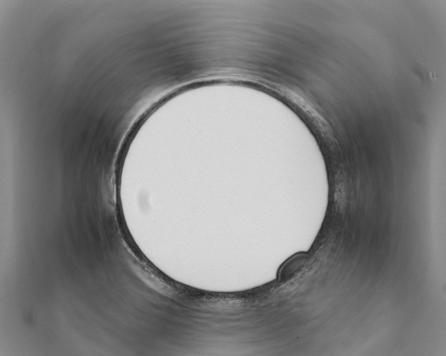 X0000111391372200908211352