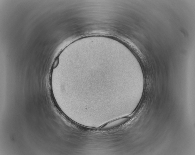 X0000111391373200908211352