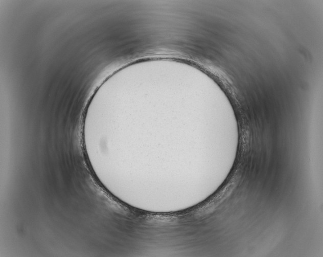 X0000111391374200908211352