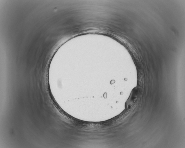 X0000111391375200908211352