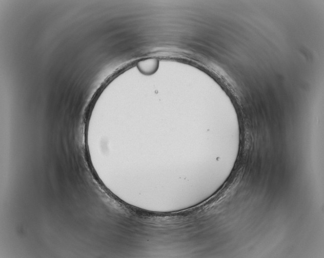 X0000111391376200908211352