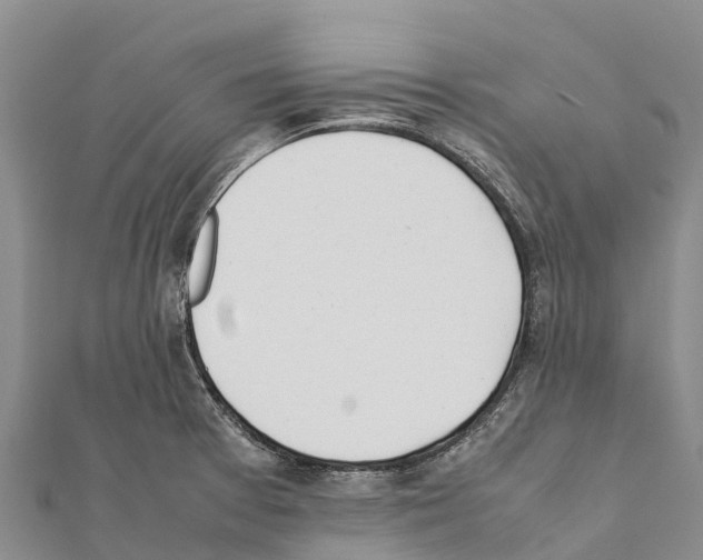 X0000111391377200908211352
