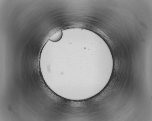X0000111391378200908211352