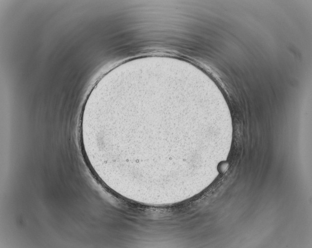 X0000111391379200908211352
