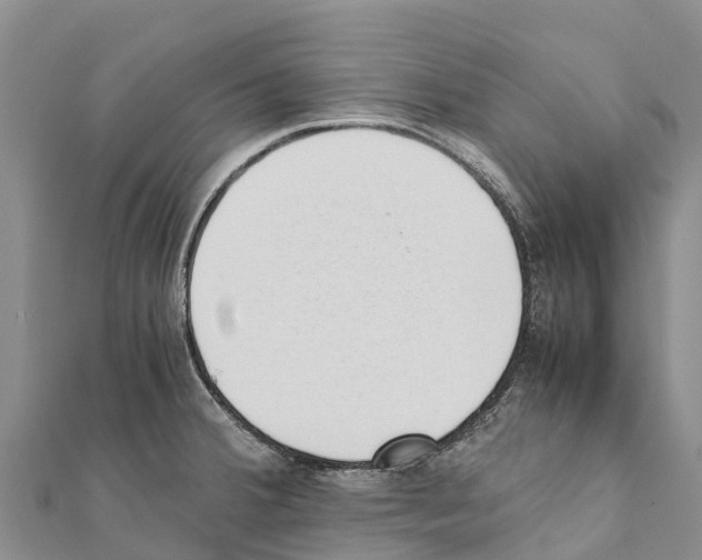 X0000111391380200908211352