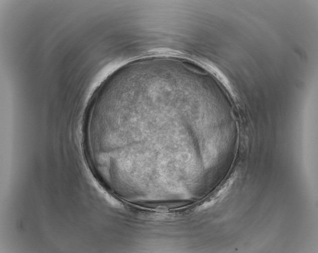 X0000111391381200908211352
