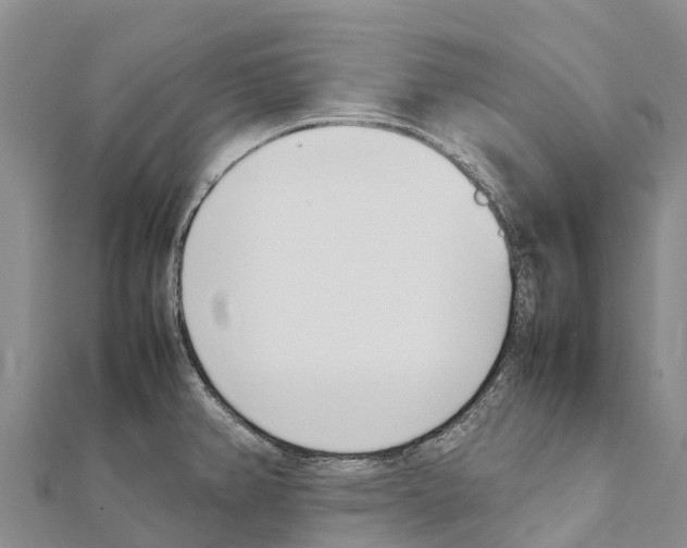X0000111391382200908211352