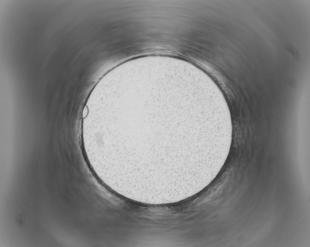 X0000111391383200908211352