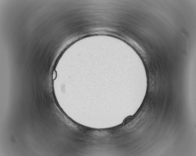 X0000111391384200908211352