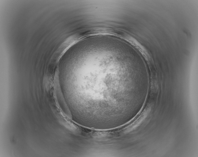 X0000111391385200908211352