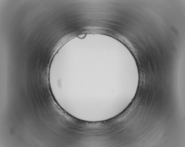 X0000111391386200908211352