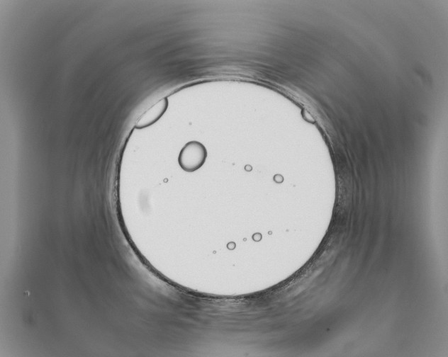 X0000111391387200908211352