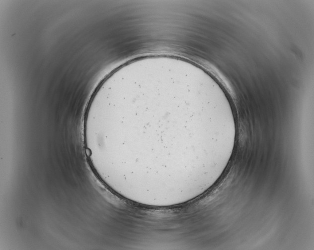 X0000111391388200908211352