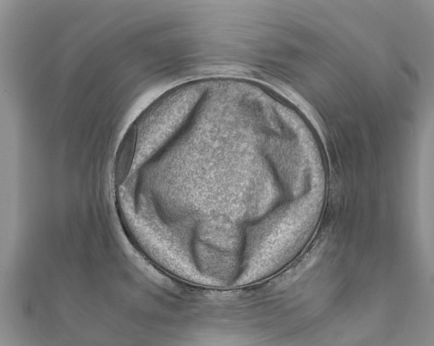 X0000111391389200908211352