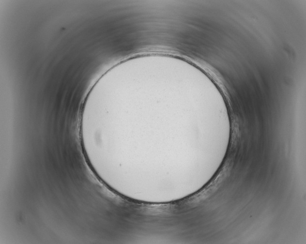 X0000111391390200908211352