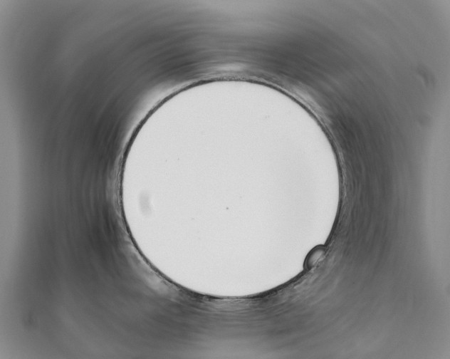 X0000111391392200908211352