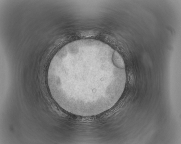 X0000111391393200908211351